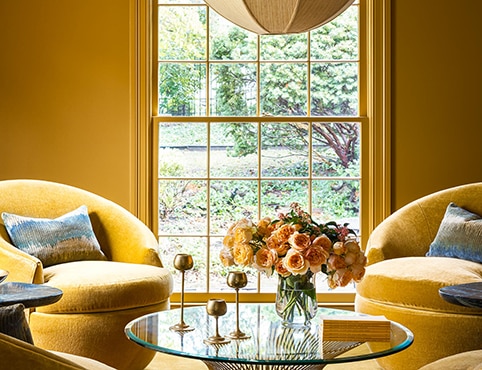 A monochromatic seating area with a yellow painted wall and trim, yellow carpet, and four modern yellow club chairs around a glass coffee table.