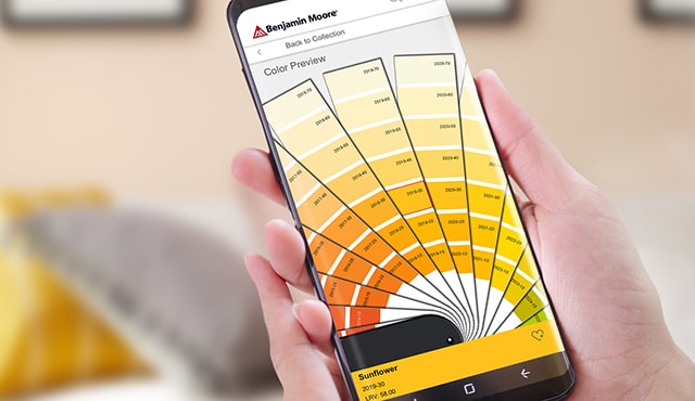Benjamin Moore® Color Preview® paint swatches on a mobile device.