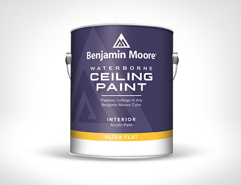 Waterborne Ceiling Paint