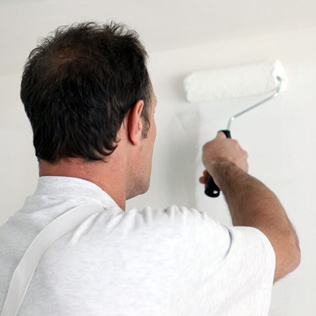 Un entrepreneur applique au rouleau la peinture à essuyage à sec Notable sur un mur