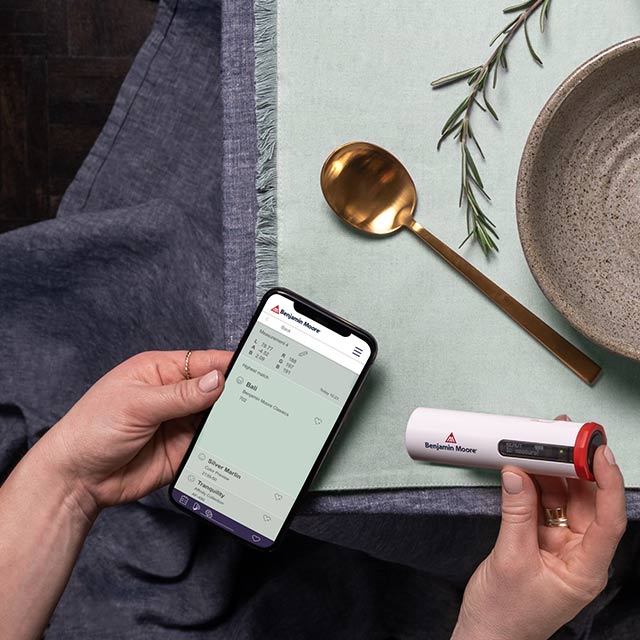 A person matches the colour from a table setting using the ColourReader Pro