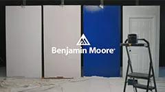 Testimonios sobre Aura Pintura para interiores: Miniatura de video "El mini milagro"