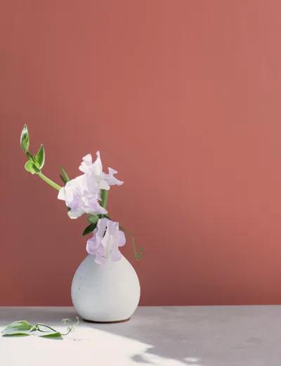 Una pared pintada de rojo apagado detrás de un gran jarrón blanco con flores.