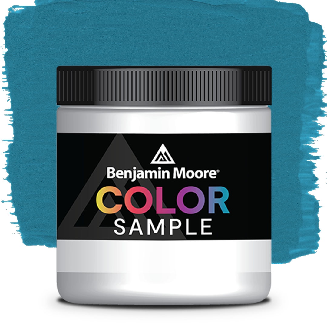 MUESTRA DE COLOR CSP-645