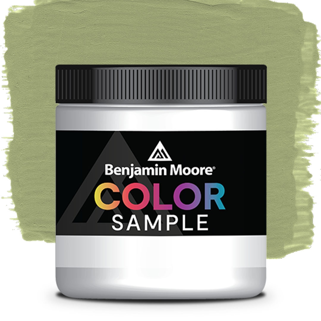 MUESTRA DE COLOR CSP-840