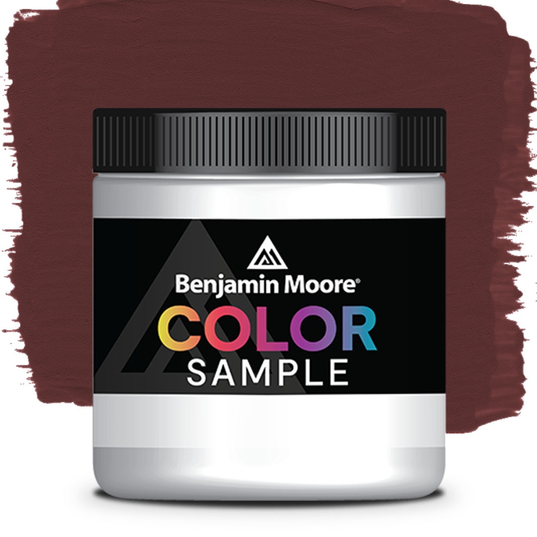 MUESTRA DE COLOR CSP-450