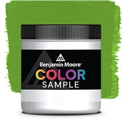 MUESTRA DE COLOR 2029-20