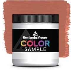 MUESTRA DE COLOR 1202