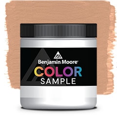 MUESTRA DE COLOR 1216