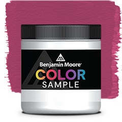 MUESTRA DE COLOR CSP-440