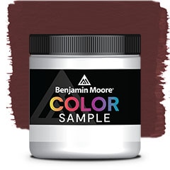MUESTRA DE COLOR CSP-450