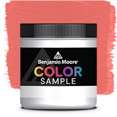MUESTRA DE COLOR 1305