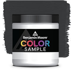 MUESTRA DE COLOR 2126-10
