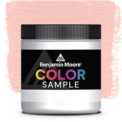MUESTRA DE COLOR 009