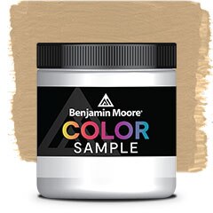 MUESTRA DE COLOR 1061