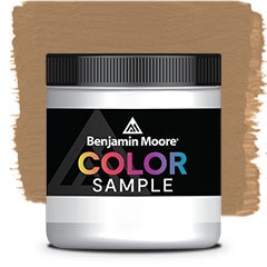 MUESTRA DE COLOR CSP-290