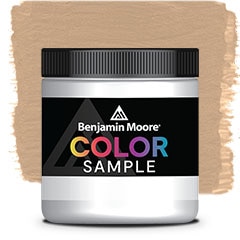 MUESTRA DE COLOR 1130