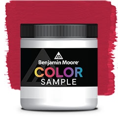 MUESTRA DE COLOR 2079-10