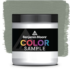 MUESTRA DE COLOR 2138-40