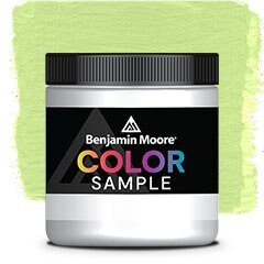 MUESTRA DE COLOR 411