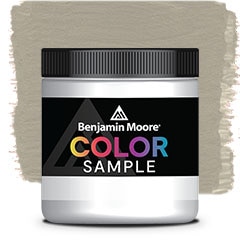 MUESTRA DE COLOR CSP-140