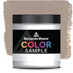 MUESTRA DE COLOR 1006