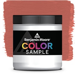 MUESTRA DE COLOR 1299